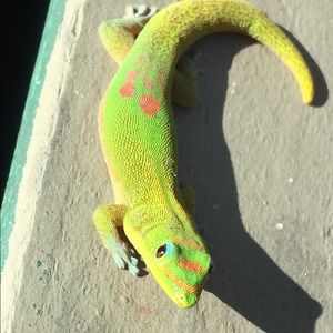 Meet your Posher, Rena